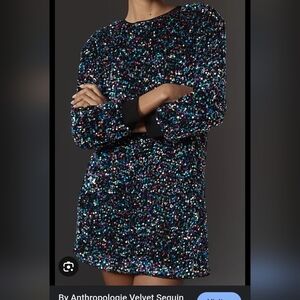 NWT Anthropologie Blue and Pink Sheath Dress Long Sleeve Crew Neck Sz XS